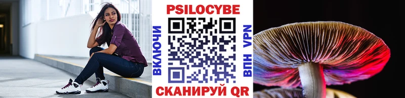 Псилоцибиновые грибы Psilocybine cubensis  Купить  Тавда 